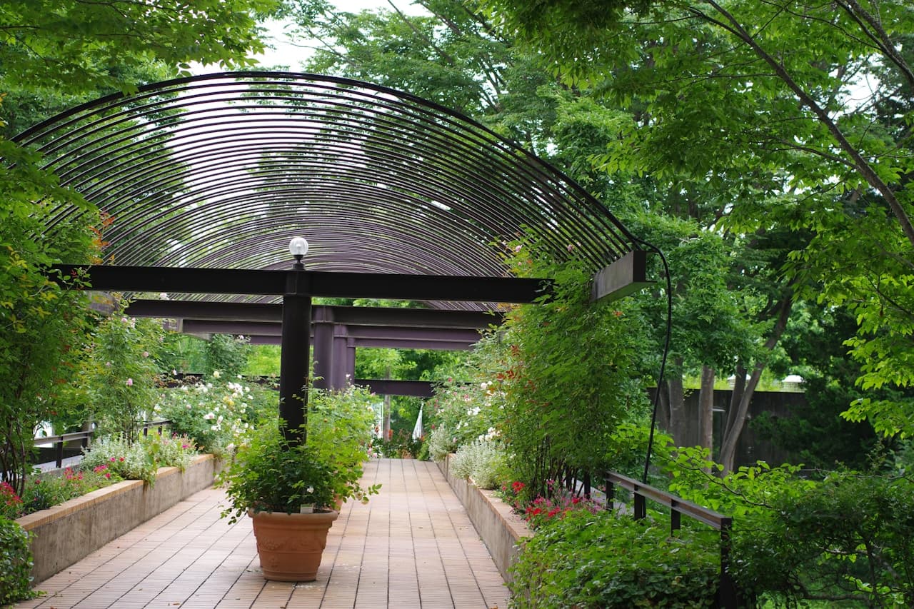 Terrasse en bois naturel entourée de végétation dense dans un jardin verdoyant